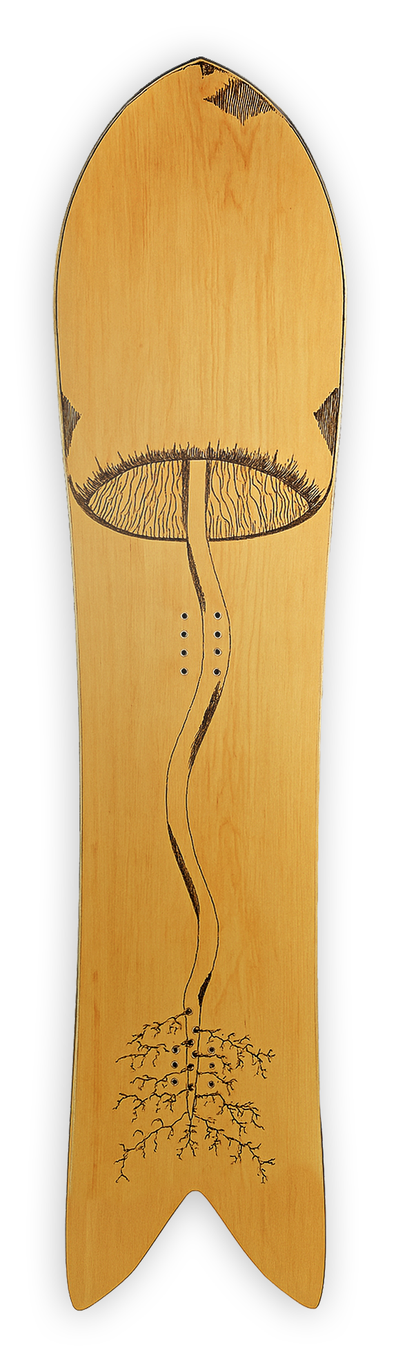 Fishtail 145